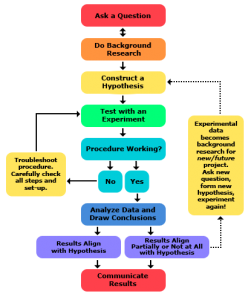 The scientific process is quite similar to growth processes