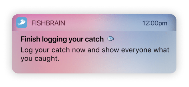 An example of a ‘win-back’ push campaign from Fishbrain 