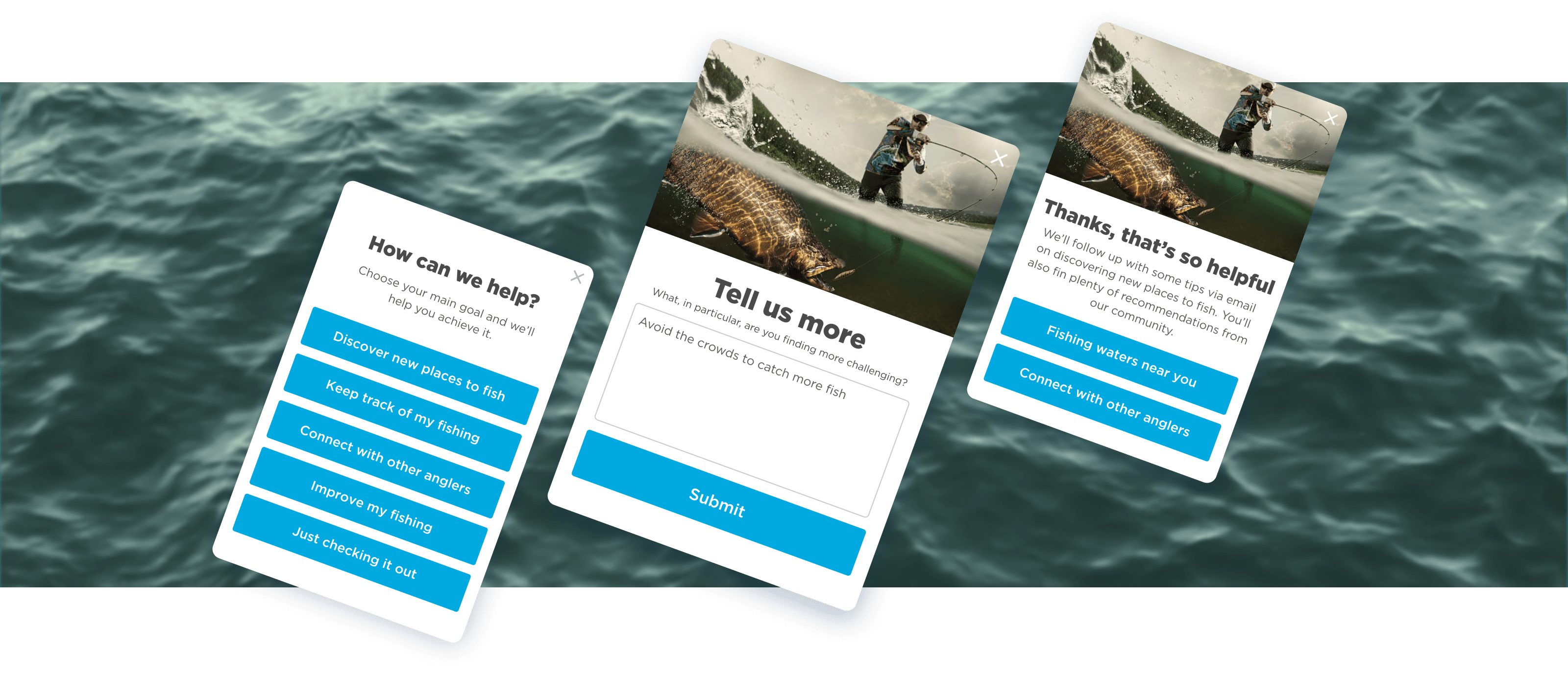 fishbrain case study