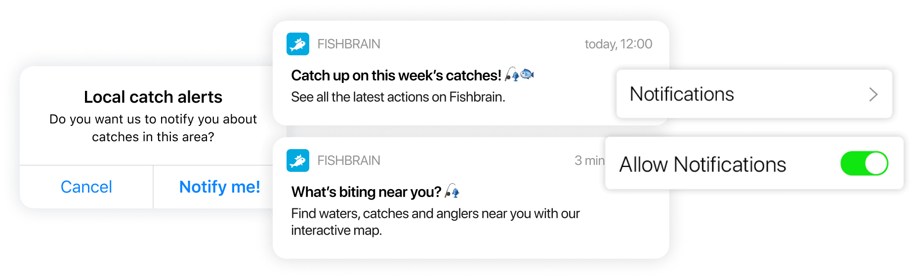 fishbrain case study