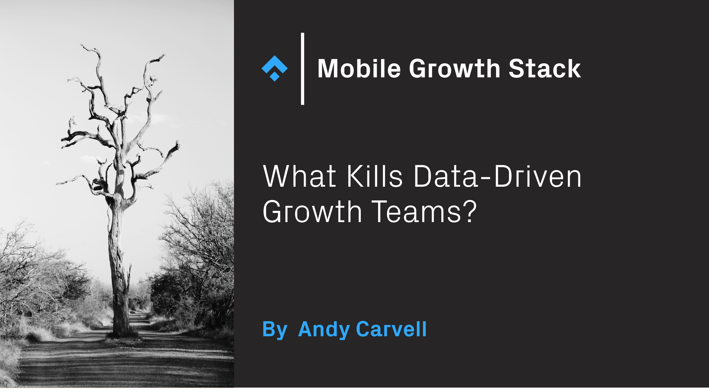 What Kills Data-Driven Growth Teams? by Andy Carvell